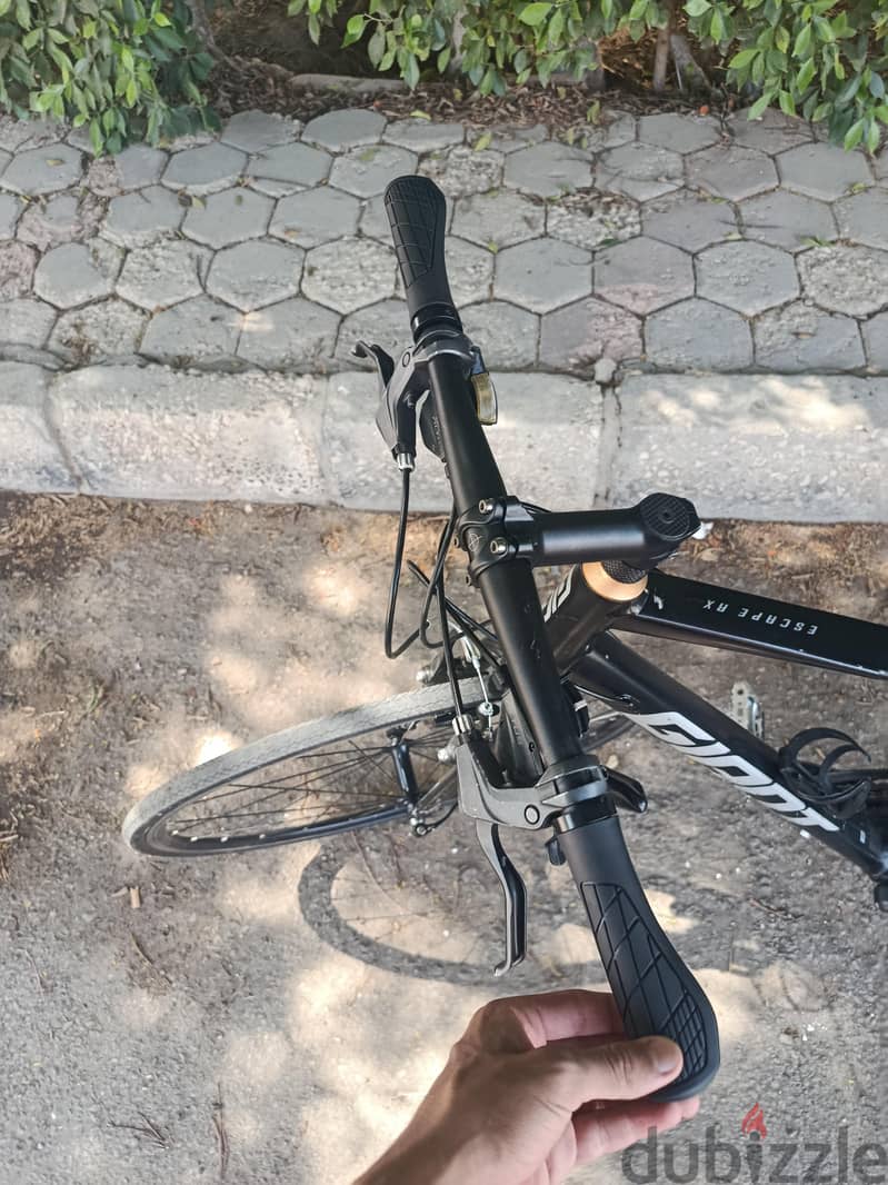 Giant Escape Rx 2019 1