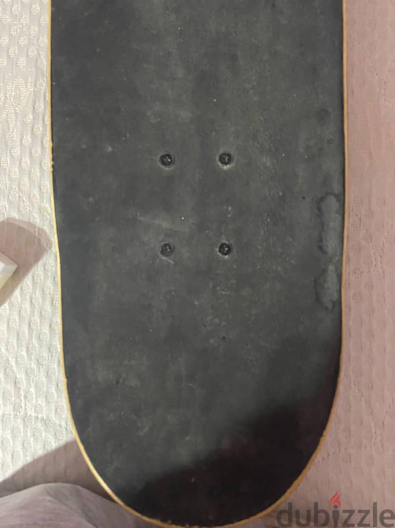 firefly skateboard 1