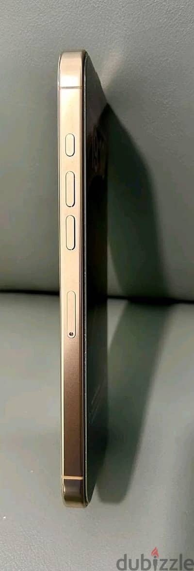آبل - آيفون 16 برو