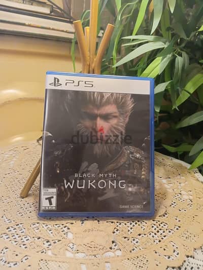 اسطوانه  . . plack myth wukong