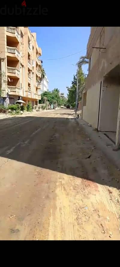 الاسكندريه ، البيطاش، شهر العسل الاسكندريه ، البيطاش، شهر العسل