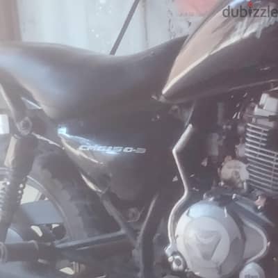 هوجن سريحه على جيده استيراد بالكامل