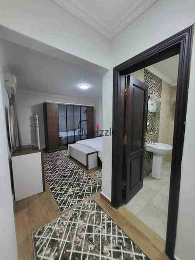 Furnished apartment in Sheikh Zayed Garden