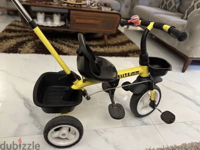 Elite trike bike for kids