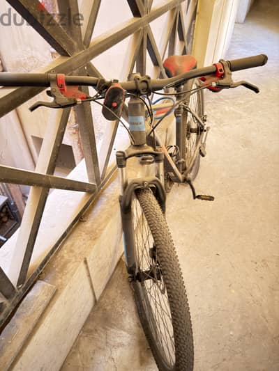 Trinix bicycle size 29 M100 pro