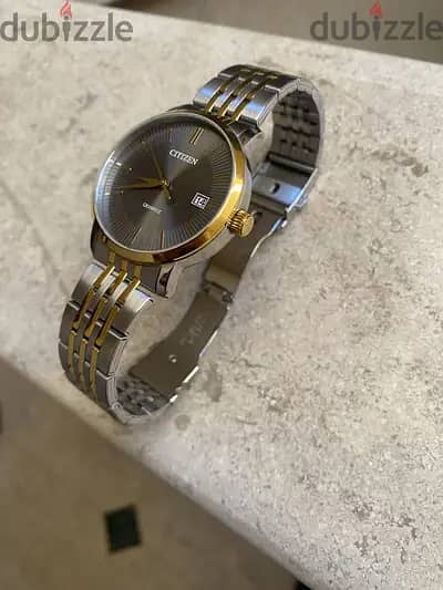 Citizen Watch 1
