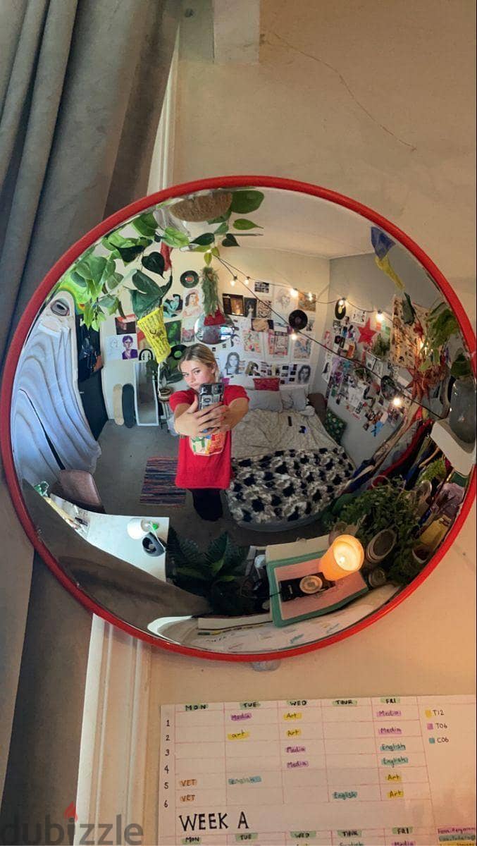 Traffic mirror 2