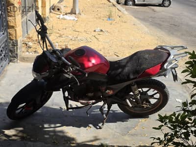 هوجن Z200