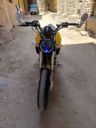 هوجن V 250 max بكياس معرضها