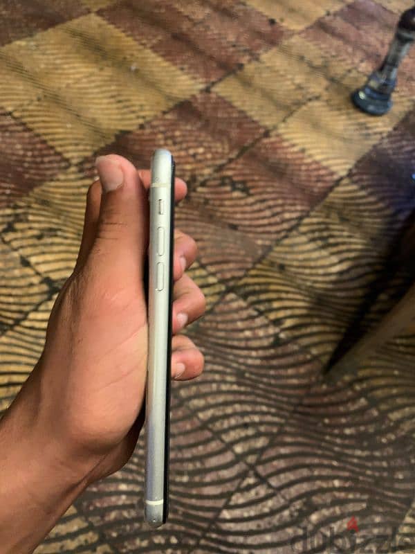 دمياط 3