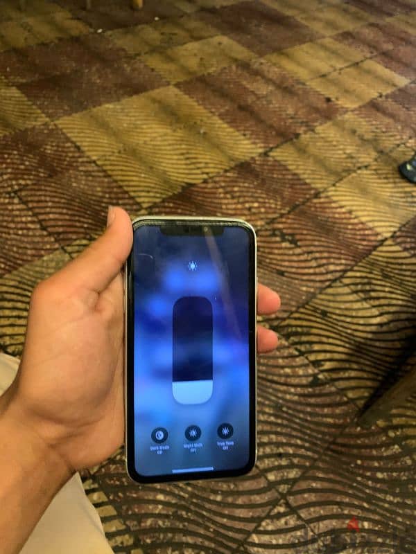 دمياط 5