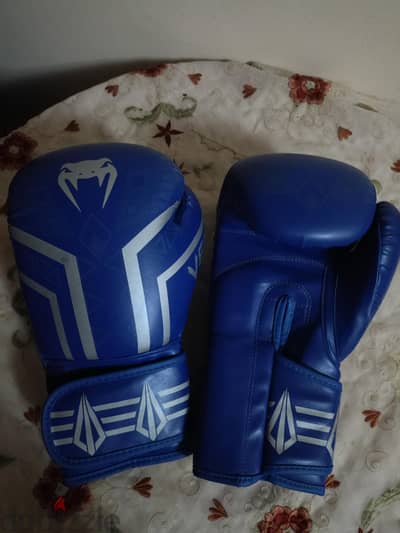 Venum Boxing Gloves – Used