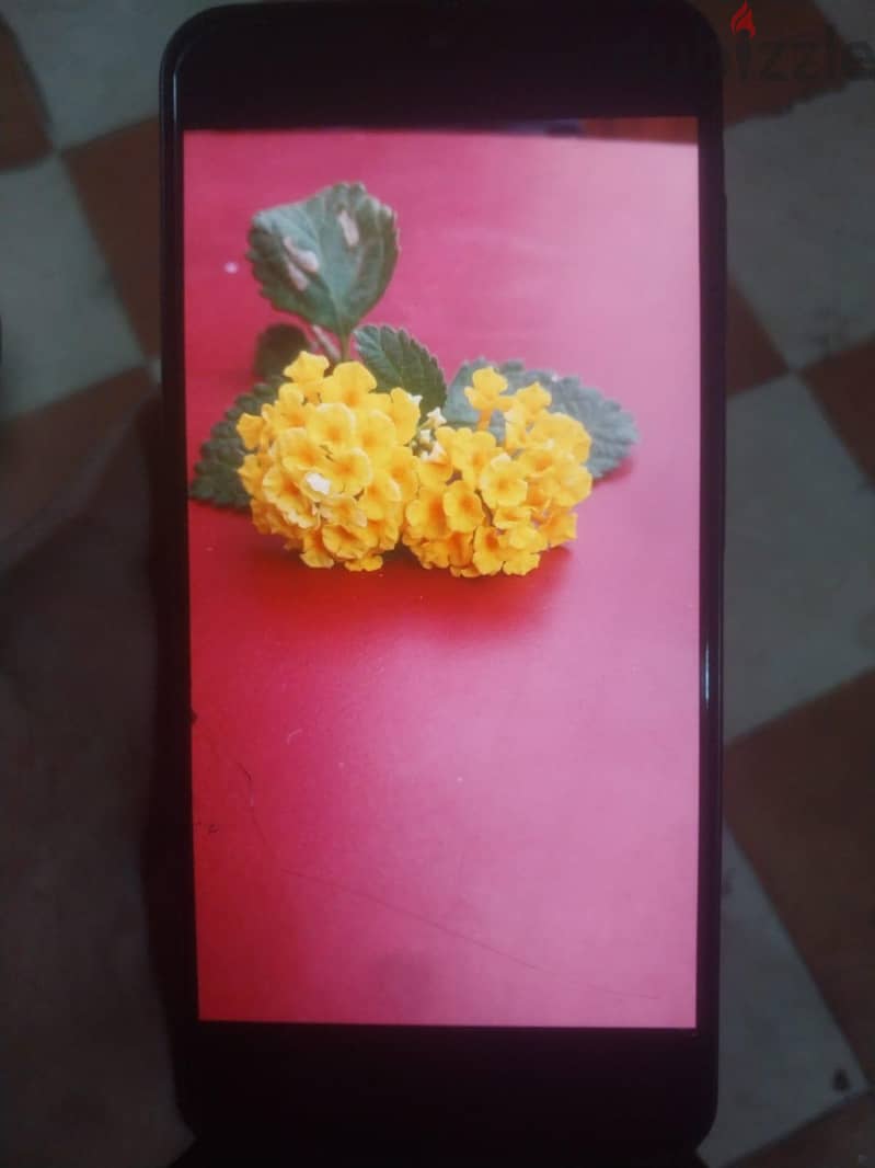 Samsung A17 4g 1