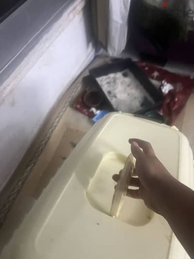 قطه للبيع