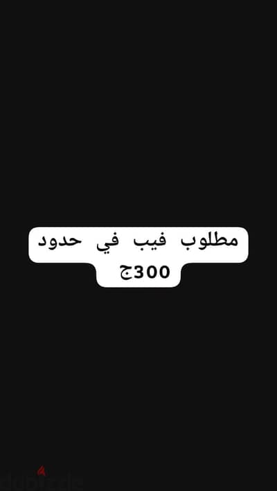 مطلب فيب  بود في حدود 300ج
