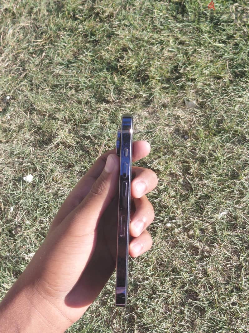 آبل - آيفون 14 برو 3