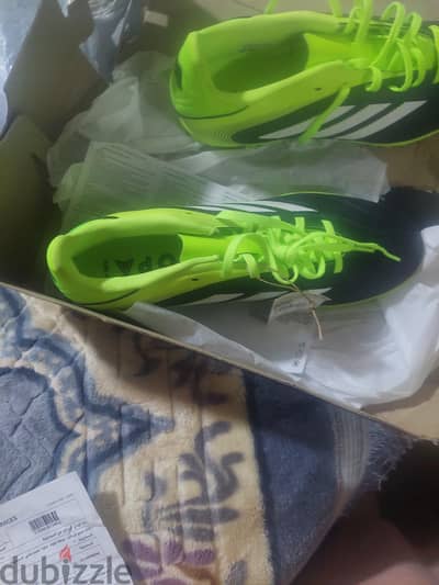 كوتشى