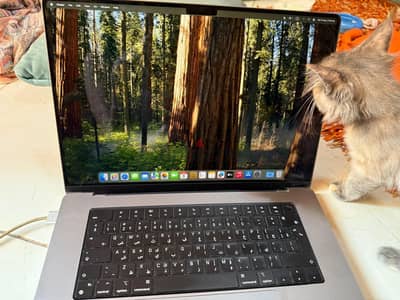 32GB RAM / 1TB SSD / Never opened or repaired / Excellent condition