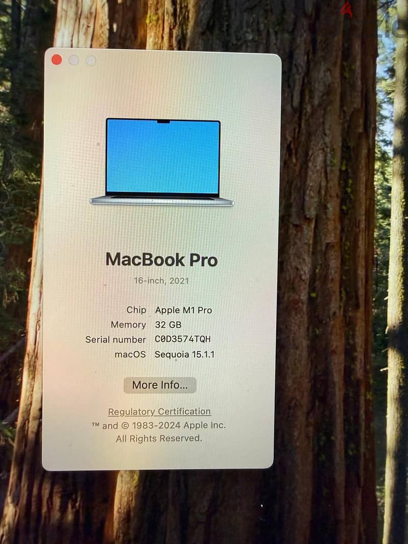32GB RAM / 1TB SSD / Never opened or repaired / Excellent condition 8