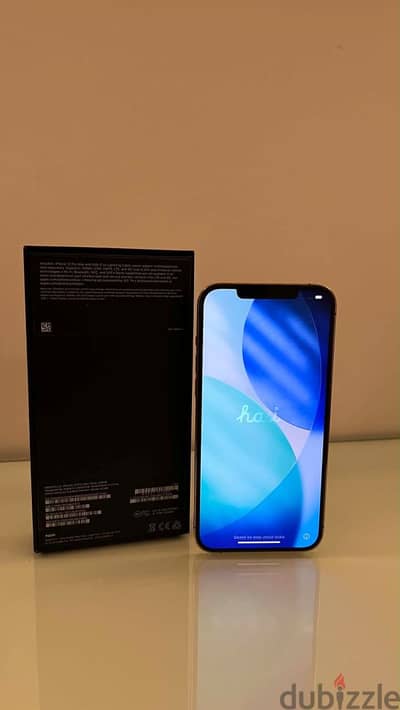 Apple - iPhone 12 Pro Max