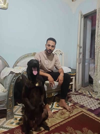 محمد طه