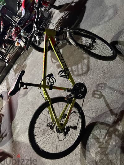 Trinx K026