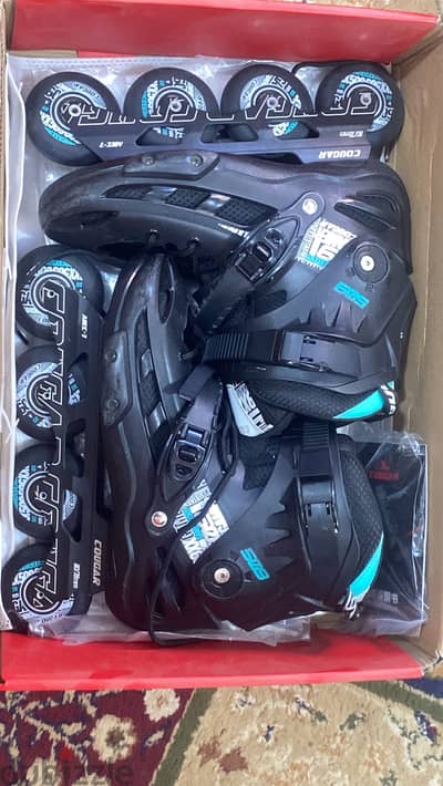 Skate cougar 509