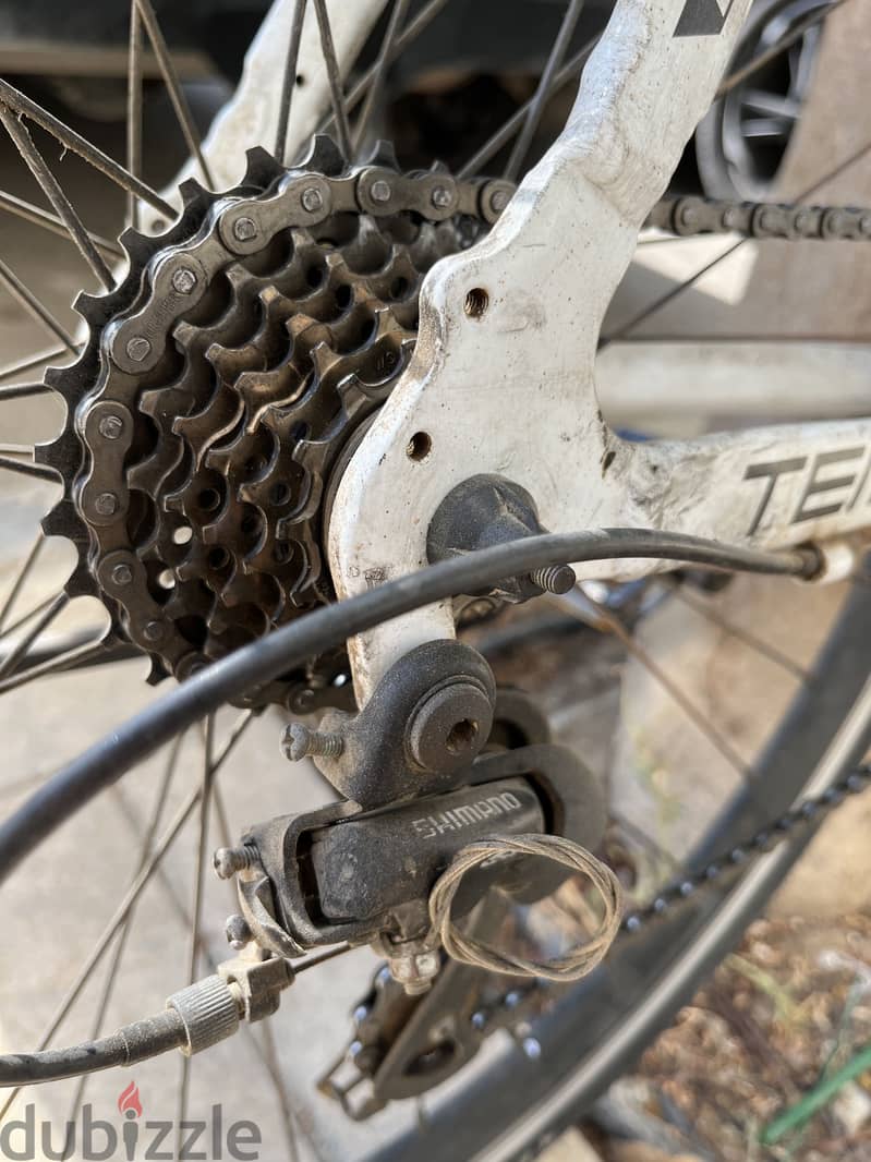 Trinx Tempo 1.4 Good Condition 1