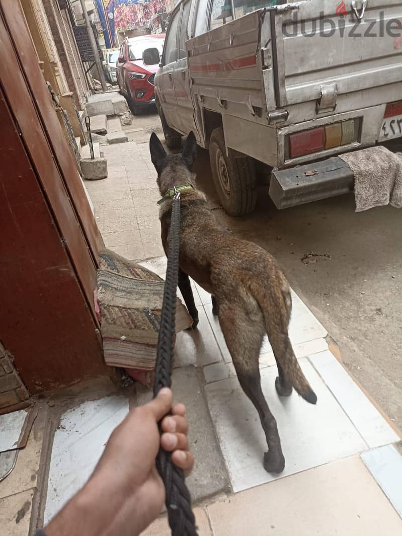 كوكاكولا 2
