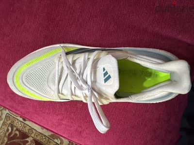 Coach ultra boost
