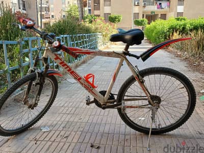 عجله tamel