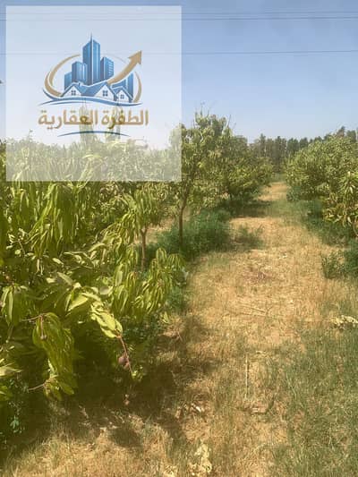 افضل قطعة ارض زراعيه فى اسوان مميزه جدا من افضل الاراضى على مستوى الجمهوريه اقرأالتفاصيل وركزجيدا