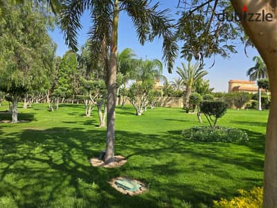 standalone villa 1777 sqm for sale in ever green - new zayed