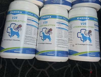 V25 canina