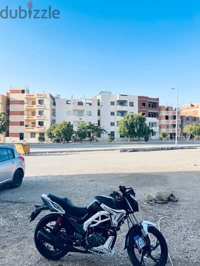 للبيع senke 200 كسر زيرو رخصة ٣ سنين