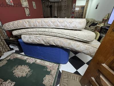 ٥ مرتبة