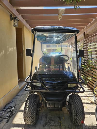 golf cart 2018