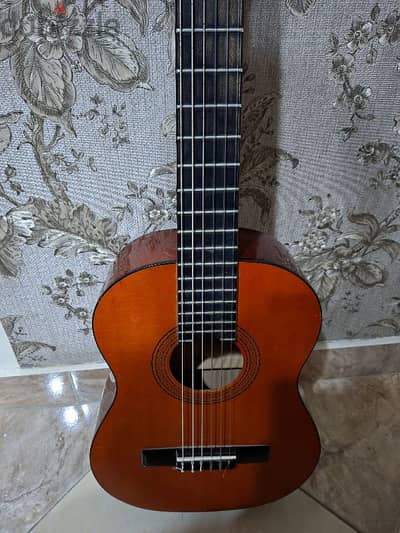 جيتار suski  sng_1