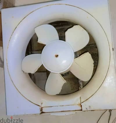 لاتلحقونى لا متلقونيش