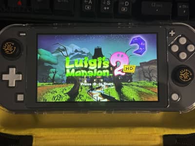 Nintendo lite