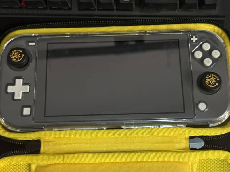 Nintendo lite 3