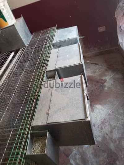 بطاريات ارانب للبيع