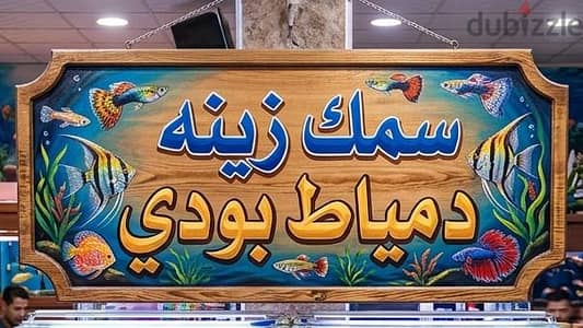 تشكيله أسماك الزينة للبيع في دمياط القديمة