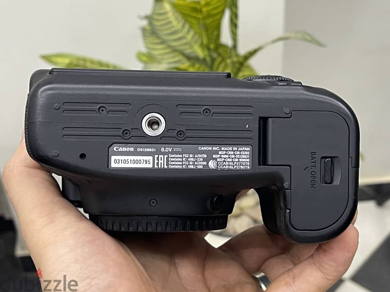 Canon 6 dii 3