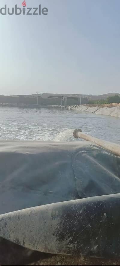 5 فدان للبيع ملكيه مسجله