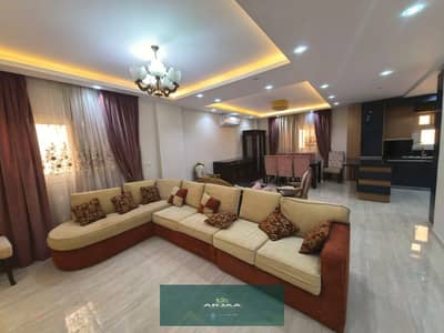 Duplex for rent in the Southern Lotus, hotel furniture, first occupant