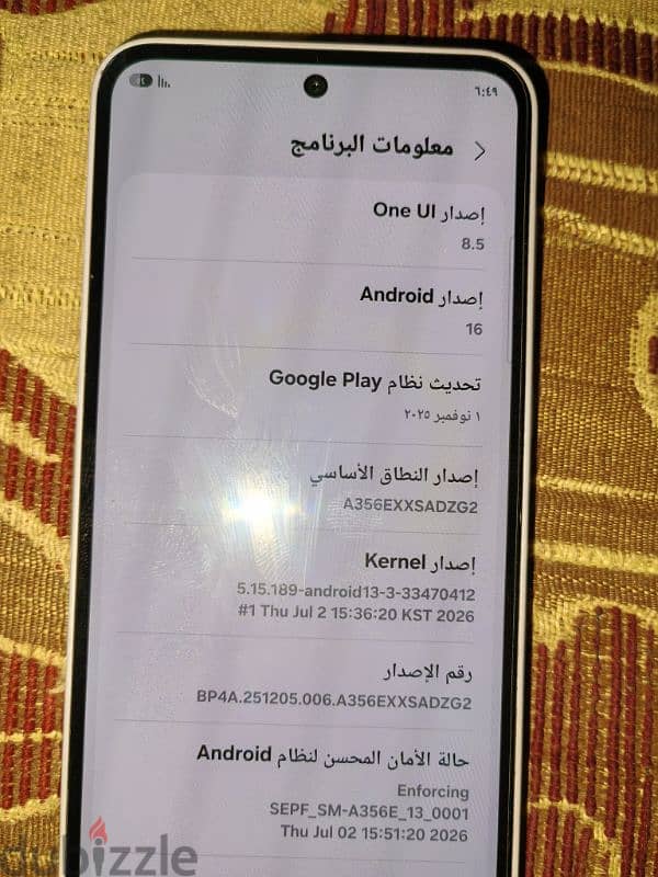 دمنهورالبحيرة 2