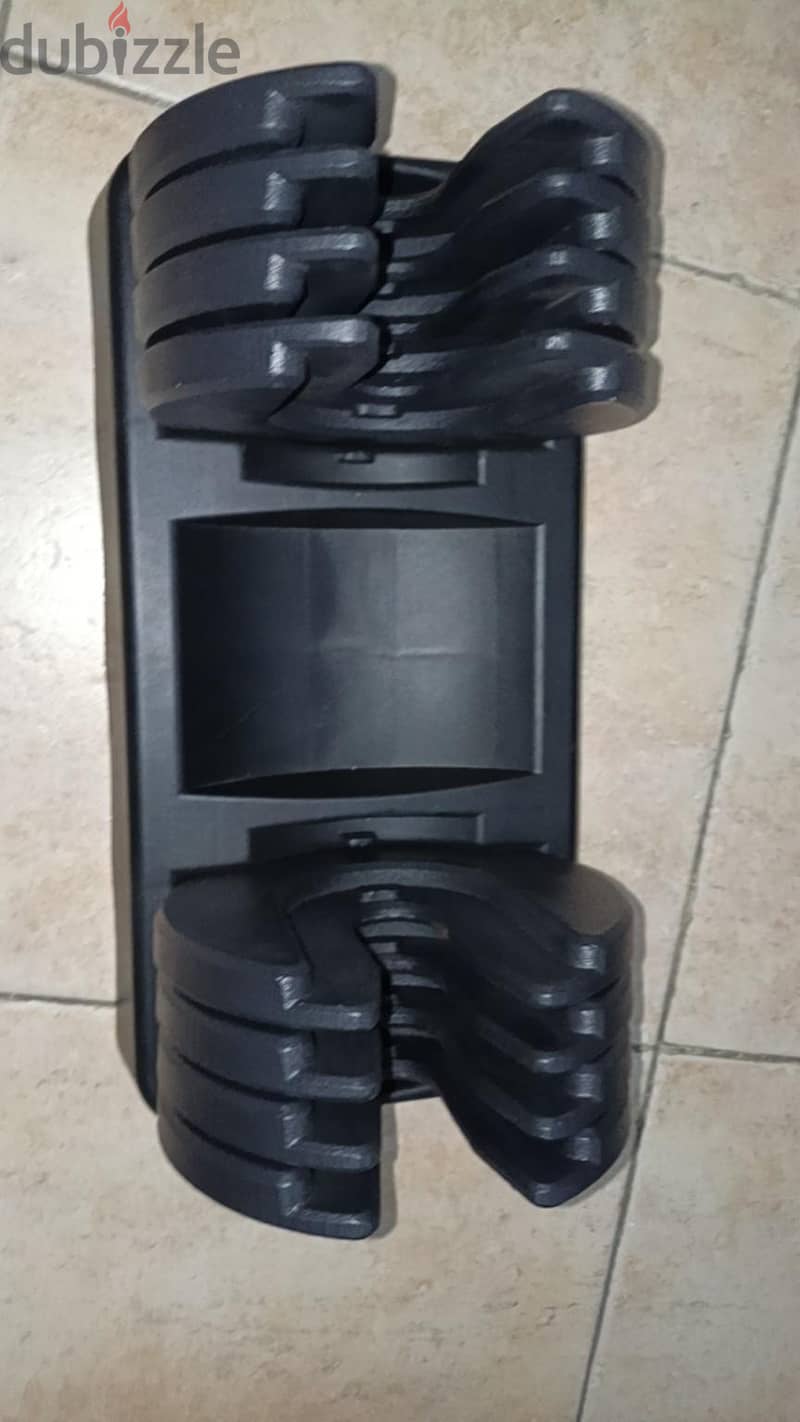 dumbbell 1