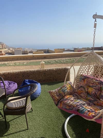 Porto Elsokhna Hanging gardens