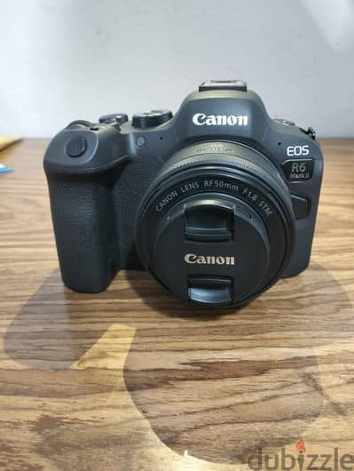  Canon EOS R6 Mark II